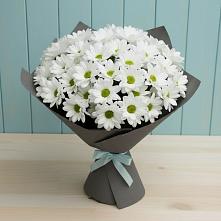 Букет цветов из:  Хризантемы #REPLACE_PRED# Хоринске