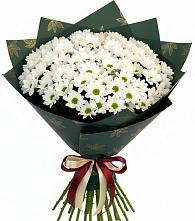 Букет цветов из:  Хризантемы #REPLACE_PRED# Хоринске