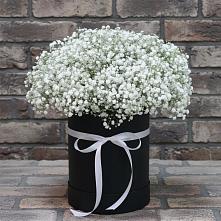 Цветочная композиция из Гипсофила в шляпной коробке в Хоринске