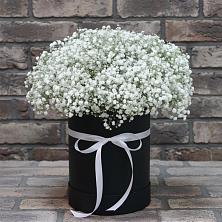 Цветочная композиция из Гипсофила в шляпной коробке в Хоринске