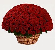 Премиум букет из: Розы в Хоринске